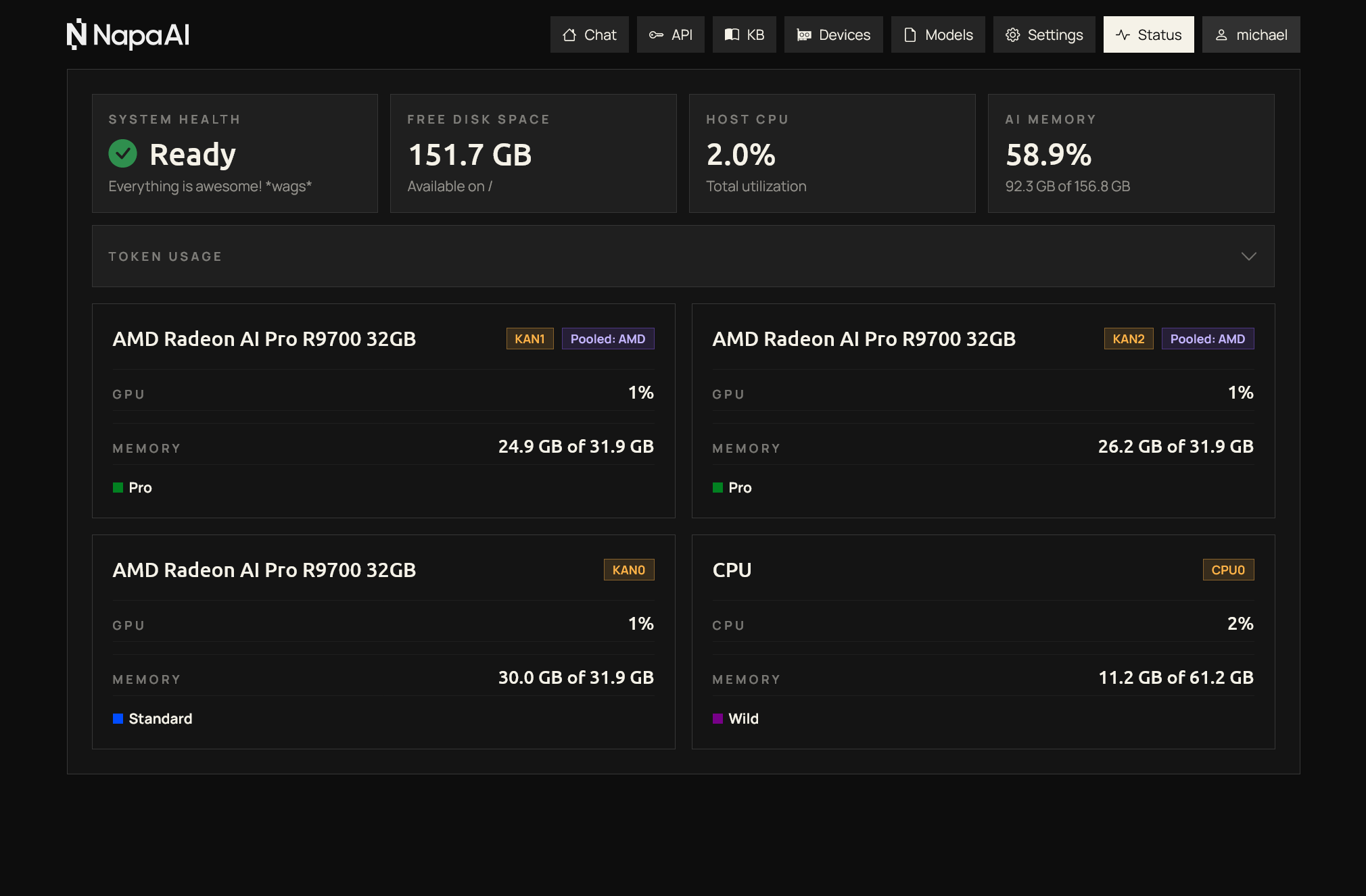 LmPanel status page screenshot showing system and model status